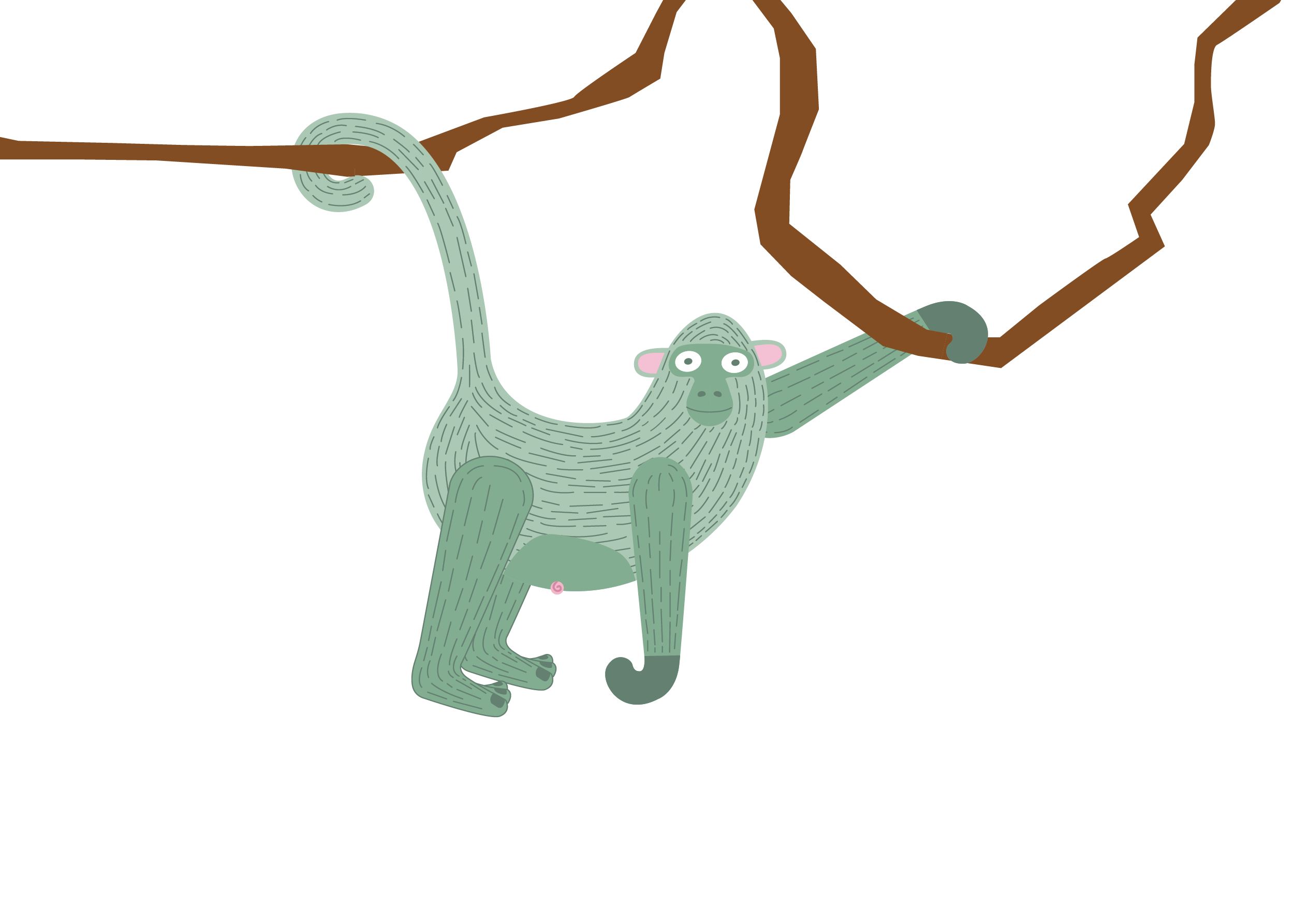 Monkey_ hanging_1