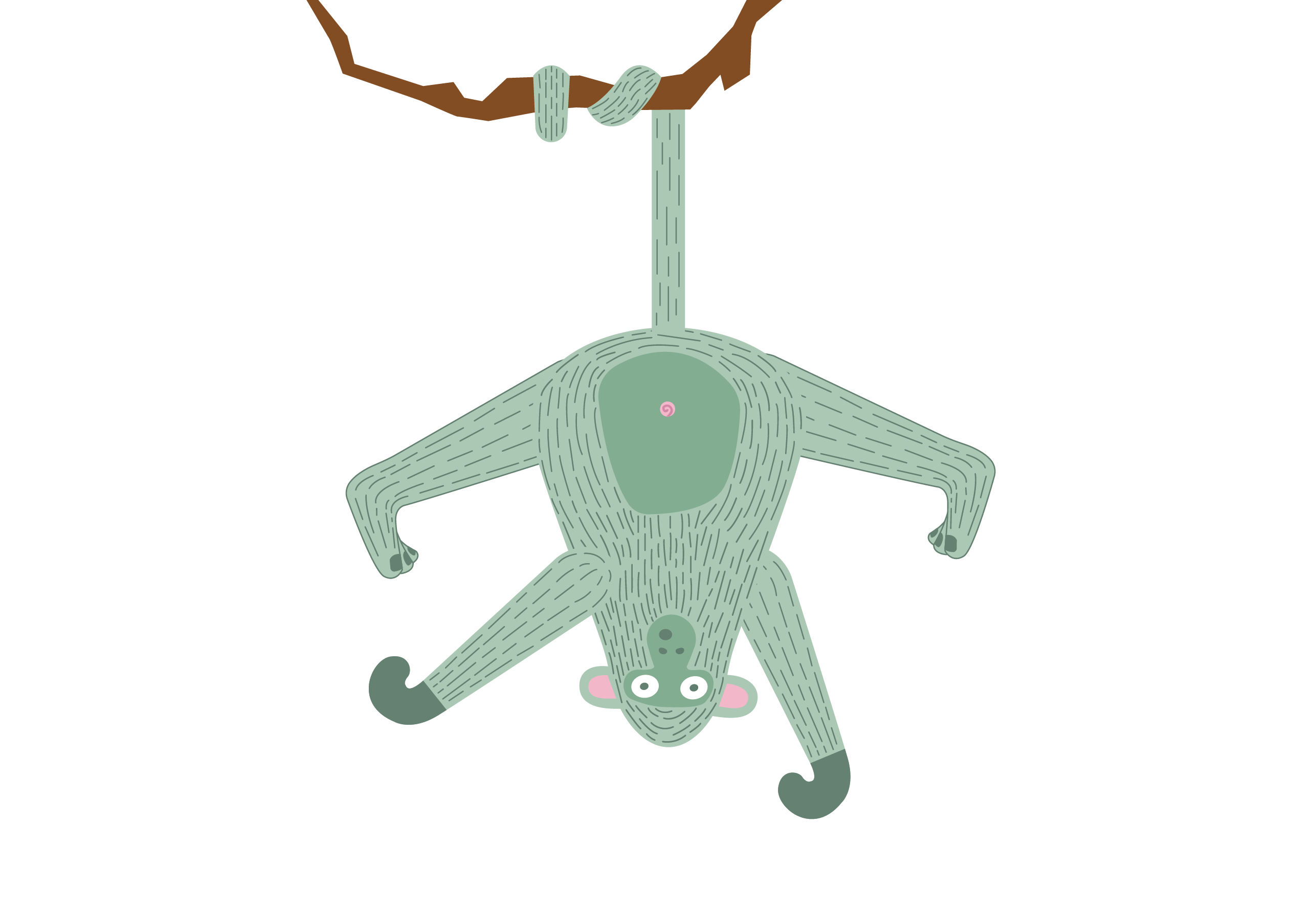 Monkey_ hanging_3