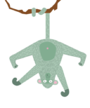 Monkey_-hanging_3