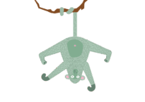 Monkey_-hanging_3 Monkey_-hanging_3